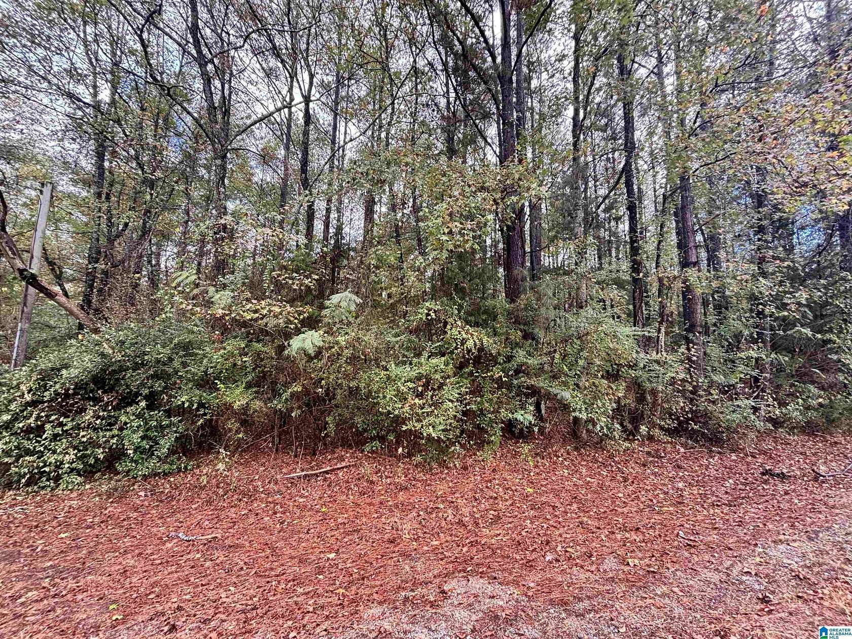 9.3 Acres of Residential Land for Sale in Columbiana, Alabama