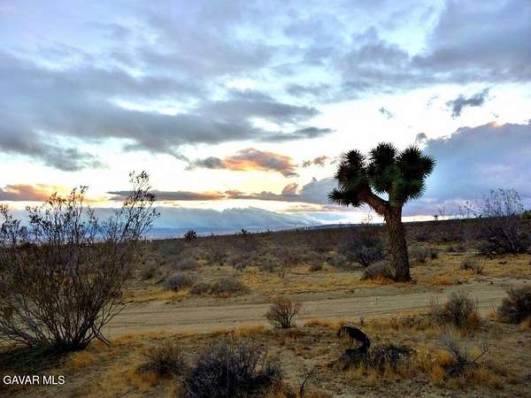 Residential Land for Sale in Rosamond, California