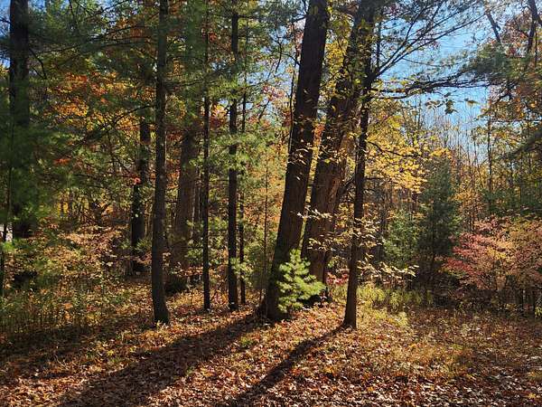 22.5 Acres of Recreational Land for Sale in Holton, Michigan