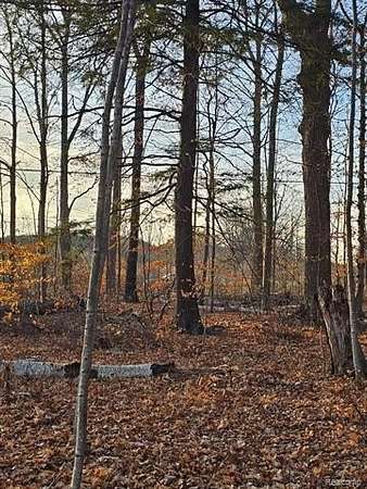 0.73 Acres of Residential Land for Sale in Forester Township, Michigan