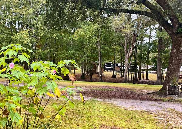 0.36 Acres of Residential Land for Sale in Ridgeville, South Carolina