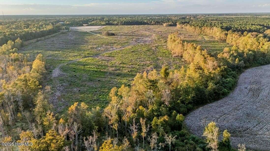 143 Acres of Land for Sale in Richlands, North Carolina