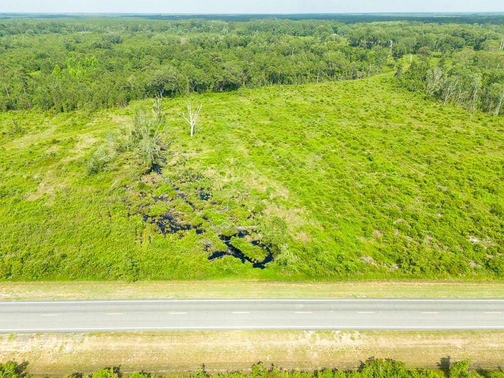 45 Acres of Land for Sale in Stockton, Georgia
