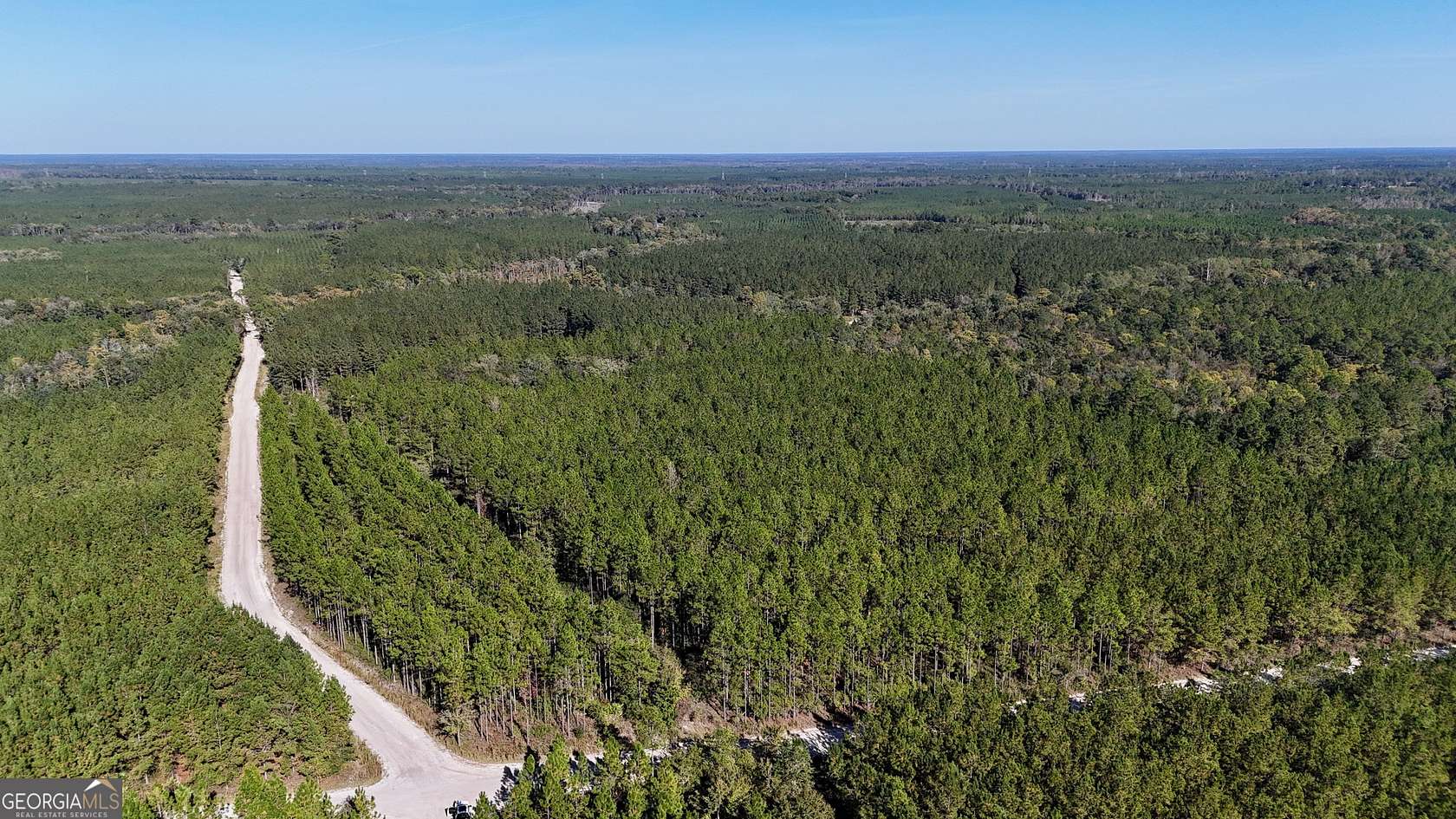 197 Acres of Recreational Land for Sale in Folkston, Georgia