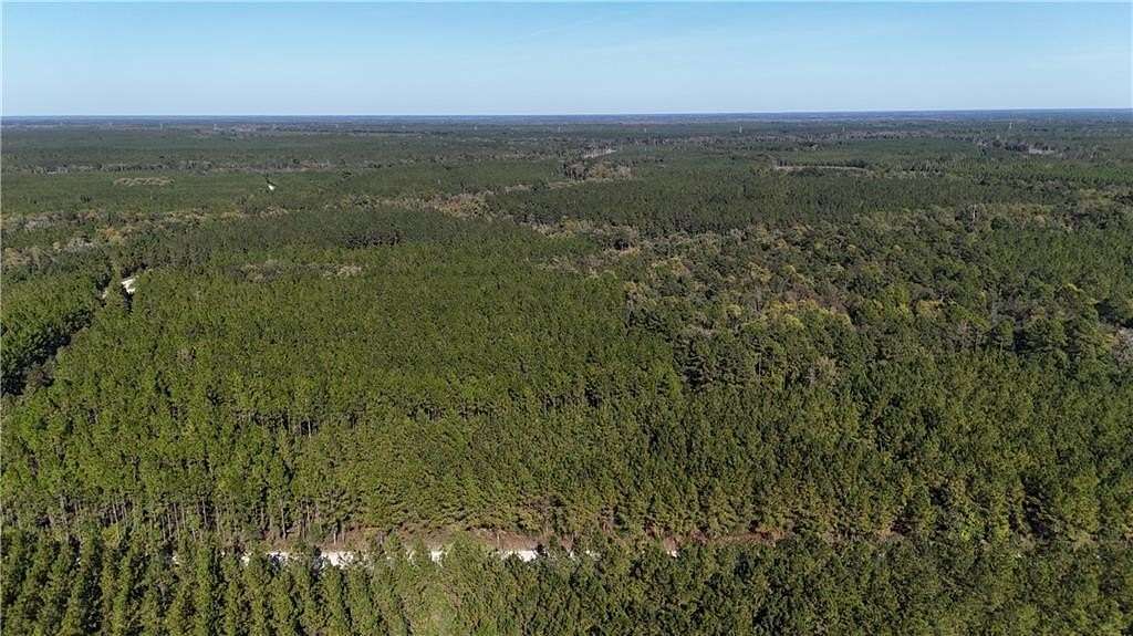 197 Acres of Recreational & Residential Land for Sale in Folkston, Georgia