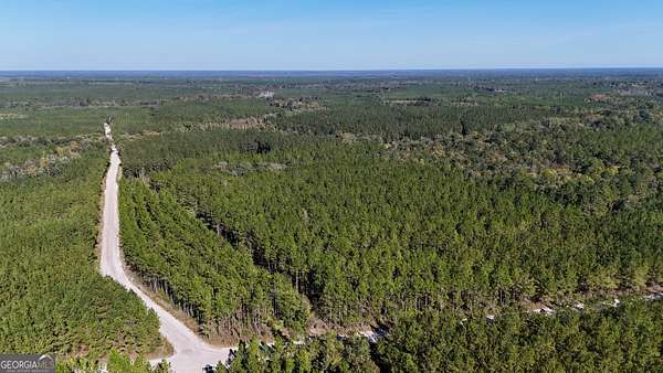 197 Acres of Recreational Land for Sale in Folkston, Georgia