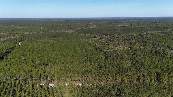 197 Acres of Recreational & Residential Land for Sale in Folkston, Georgia