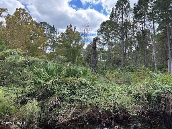 0.23 Acres of Land for Sale in De Leon Springs, Florida