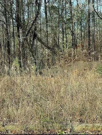 0.47 Acres of Residential Land for Sale in Jasper, Georgia