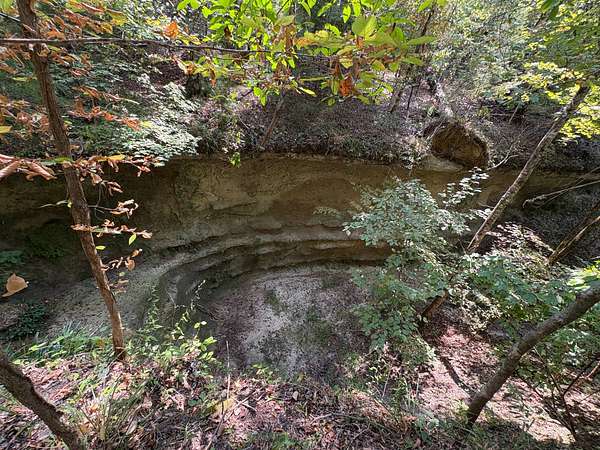 10 Acres of Recreational Land for Sale in Rehoboth, Alabama