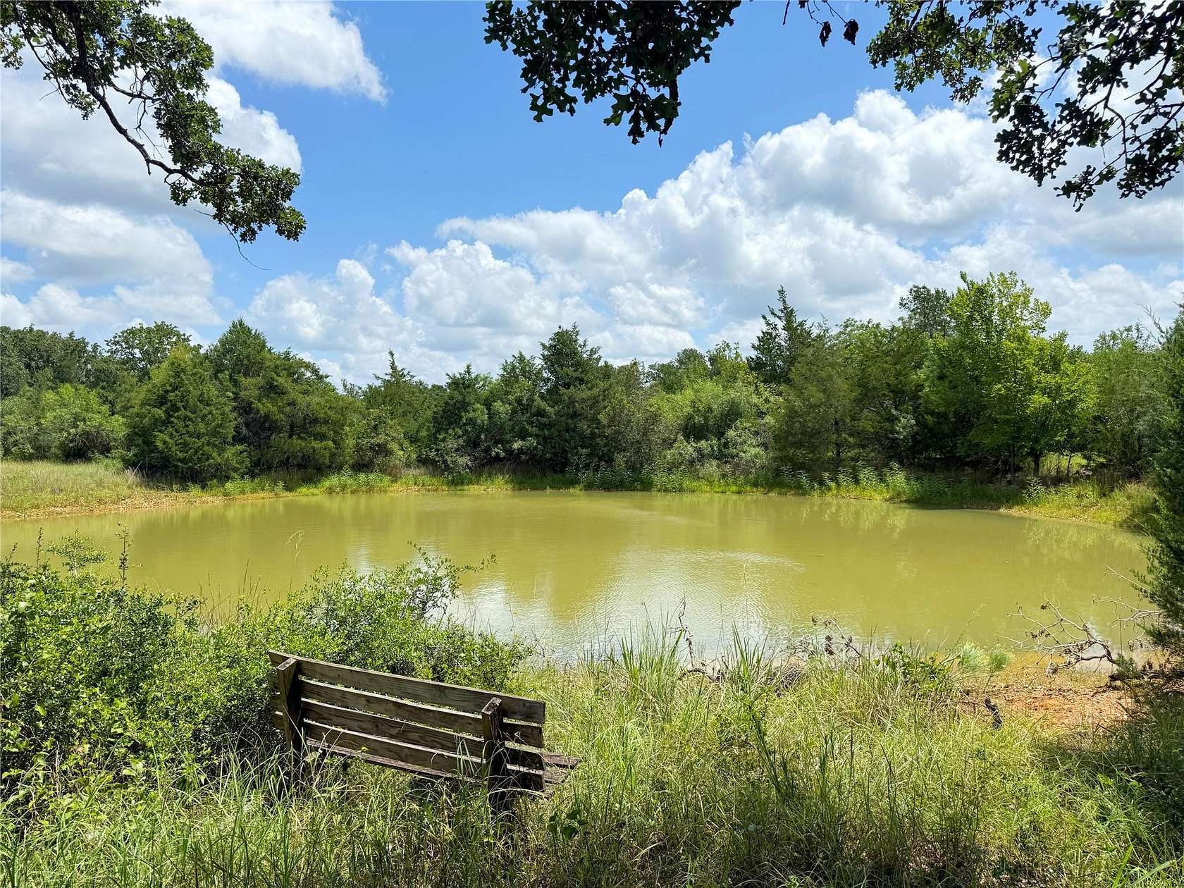 24.5 Acres of Recreational Land for Sale in Paige, Texas