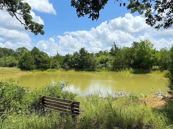 24.5 Acres of Recreational Land for Sale in Paige, Texas