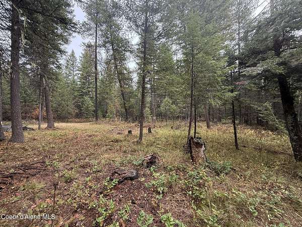 5.2 Acres of Land for Sale in Fernwood, Idaho