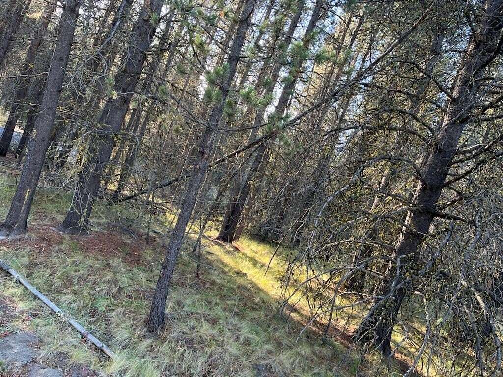 0.5 Acres of Residential Land for Sale in Bend, Oregon