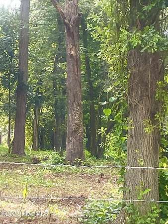 0.59 Acres of Residential Land for Sale in Dudley, North Carolina