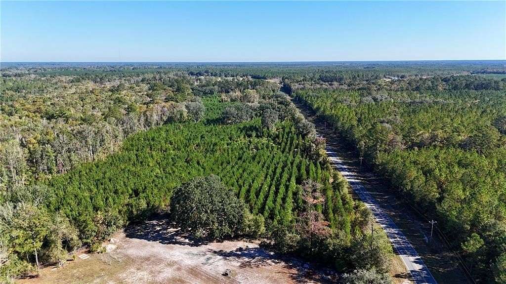 59 Acres of Recreational Land for Sale in Nahunta, Georgia