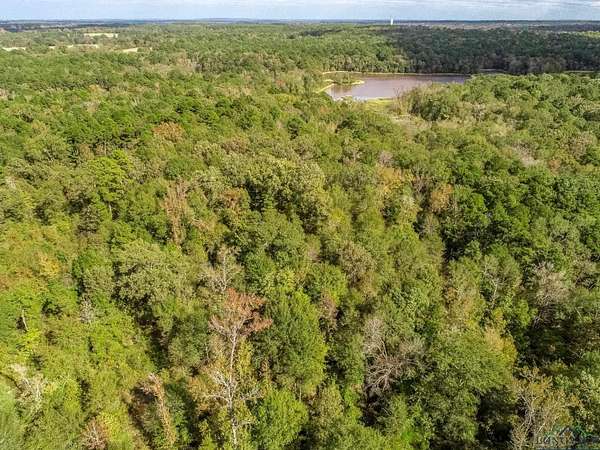 13.3 Acres of Land for Sale in Gilmer, Texas