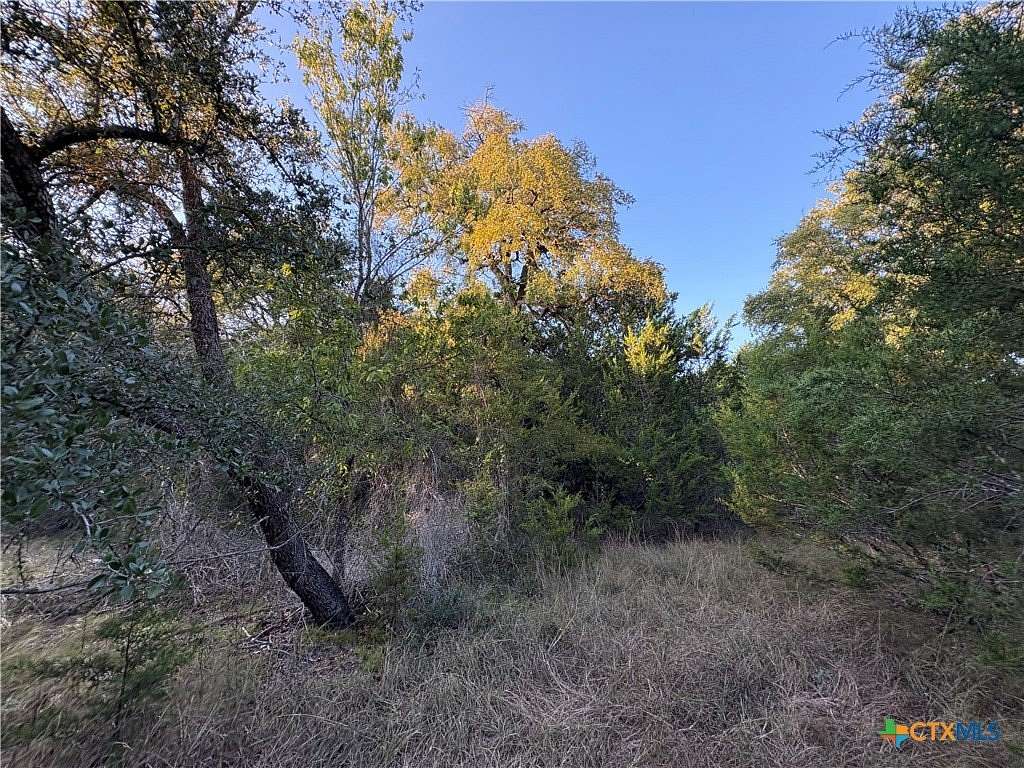 37.8 Acres of Recreational Land for Sale in Lometa, Texas