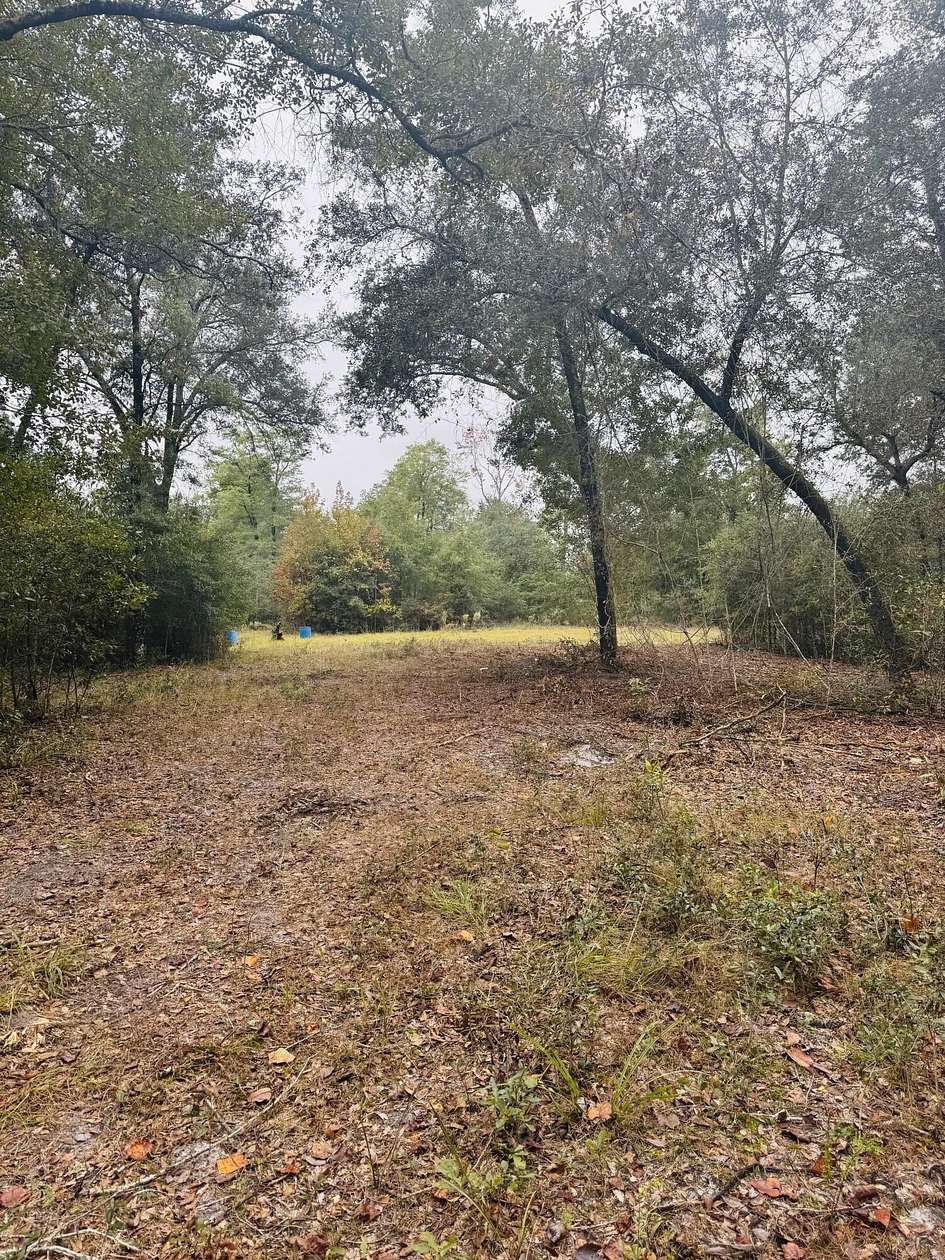 5 Acres of Residential Land for Sale in Dorchester, South Carolina