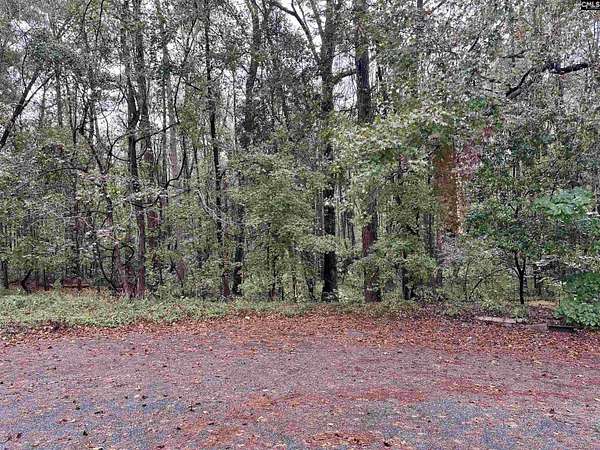 1 Acre of Residential Land for Sale in Cayce, South Carolina