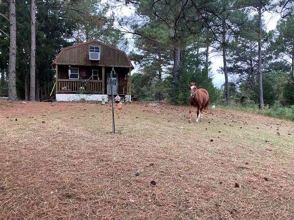 4 Acres of Residential Land with Home for Sale in Jack, Alabama