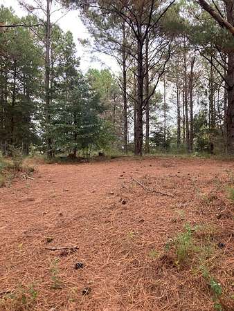 4 Acres of Residential Land for Sale in Jack, Alabama