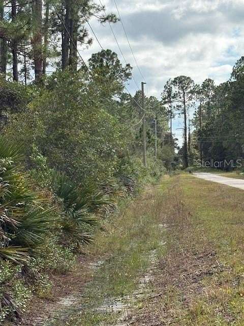 0.99 Acres of Land for Sale in Bunnell, Florida