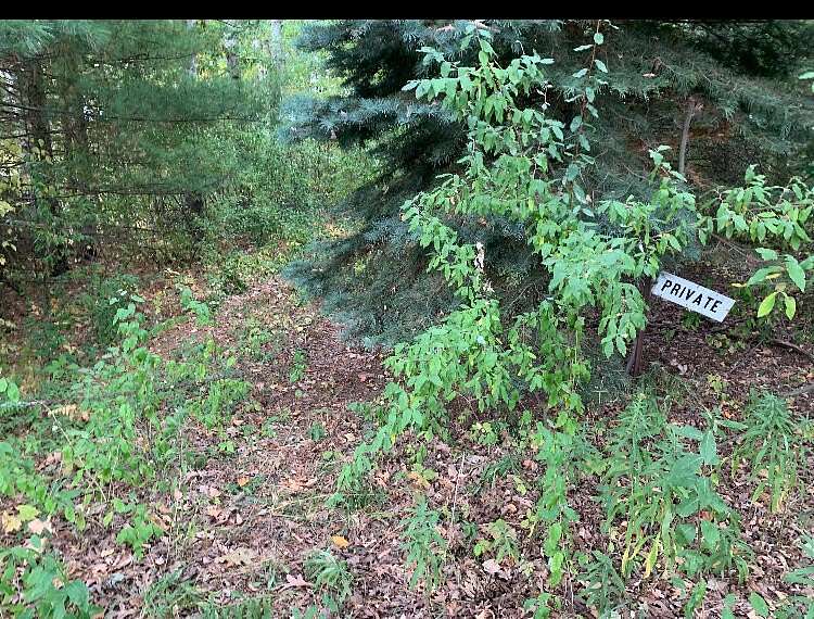 3 Acres of Land for Sale in Walkerville, Michigan