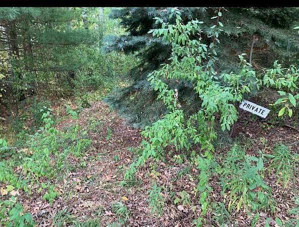 3 Acres of Land for Sale in Walkerville, Michigan