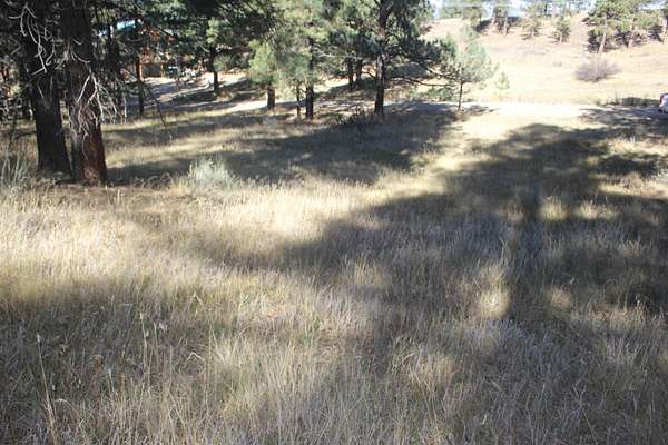 0.75 Acres of Land for Sale in Angel Fire, New Mexico