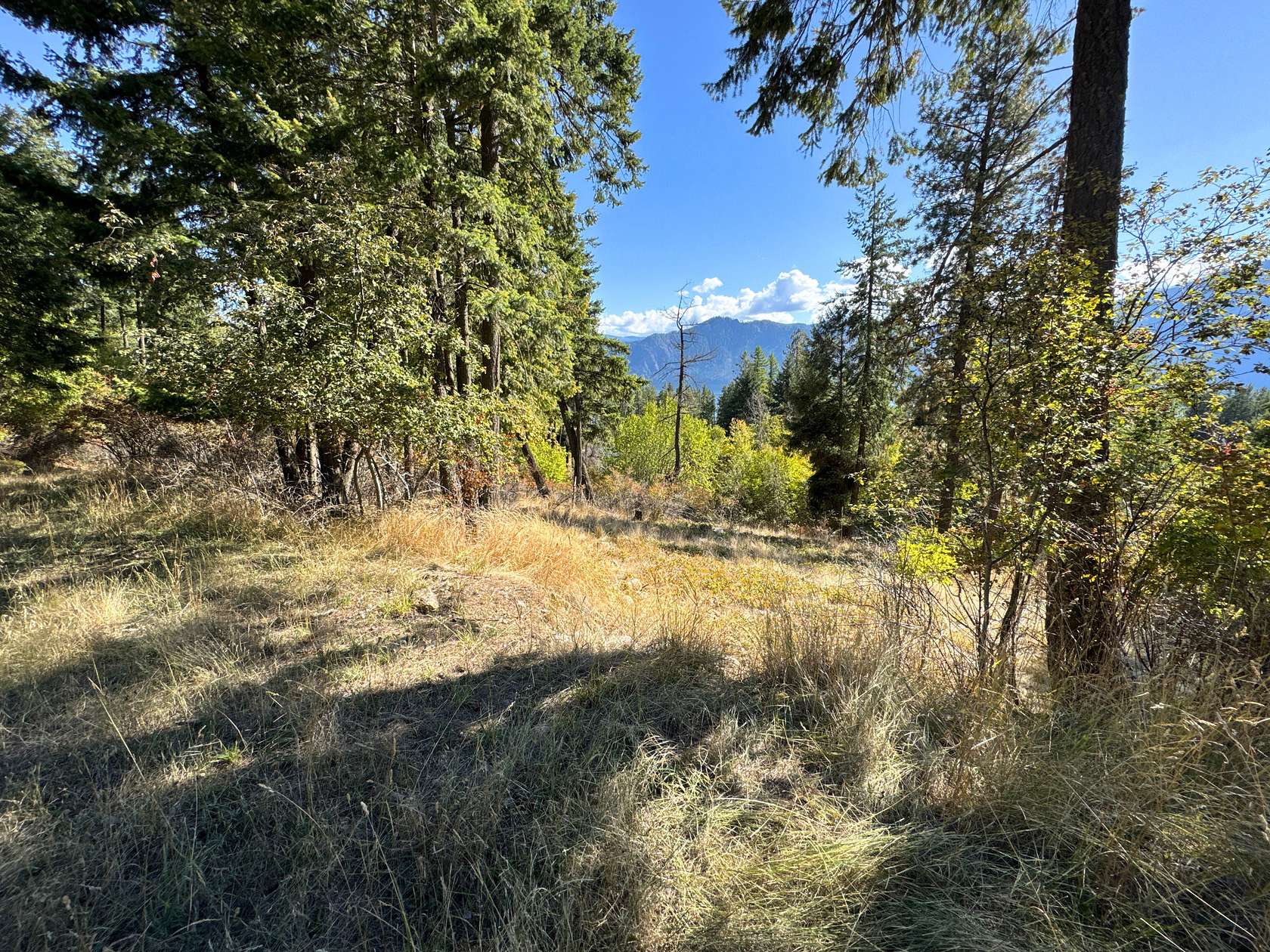 0.57 Acres of Residential Land for Sale in Bayview, Idaho