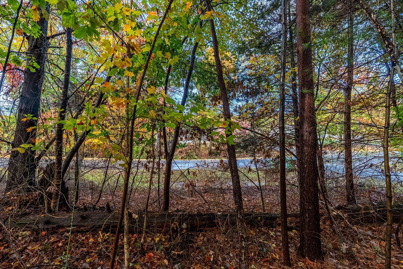 0.55 Acres of Residential Land for Sale in Moneta, Virginia