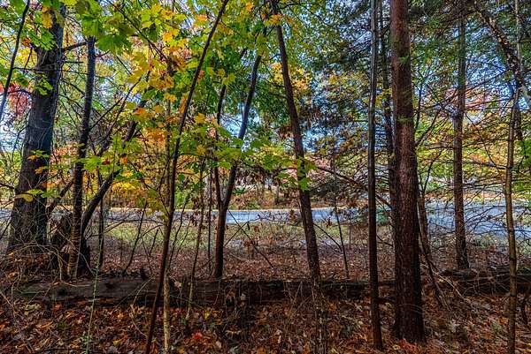 0.55 Acres of Residential Land for Sale in Moneta, Virginia