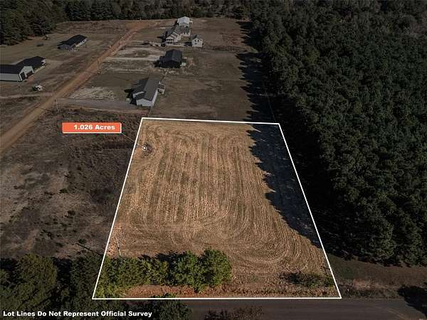 1 Acre of Residential Land for Sale in Diana, Texas