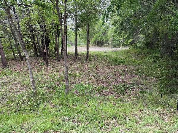 0.16 Acres of Residential Land for Sale in Gun Barrel City, Texas