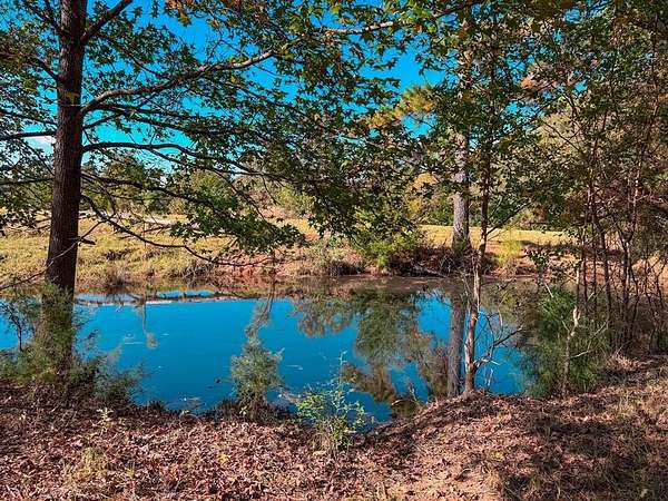 5 Acres of Residential Land for Sale in Palestine, Texas