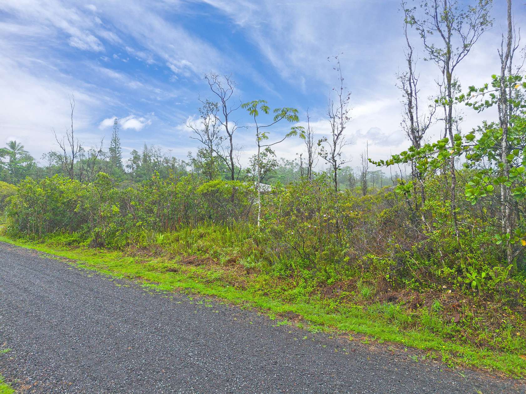 1 Acre of Residential Land for Sale in Keaau, Hawaii