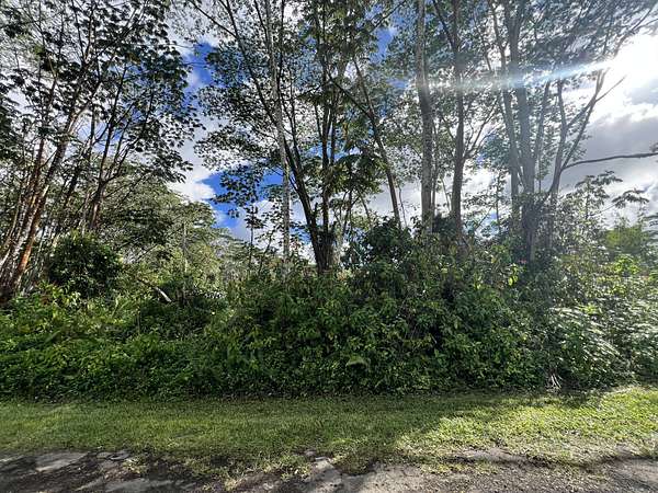 0.19 Acres of Residential Land for Sale in Pahoa, Hawaii