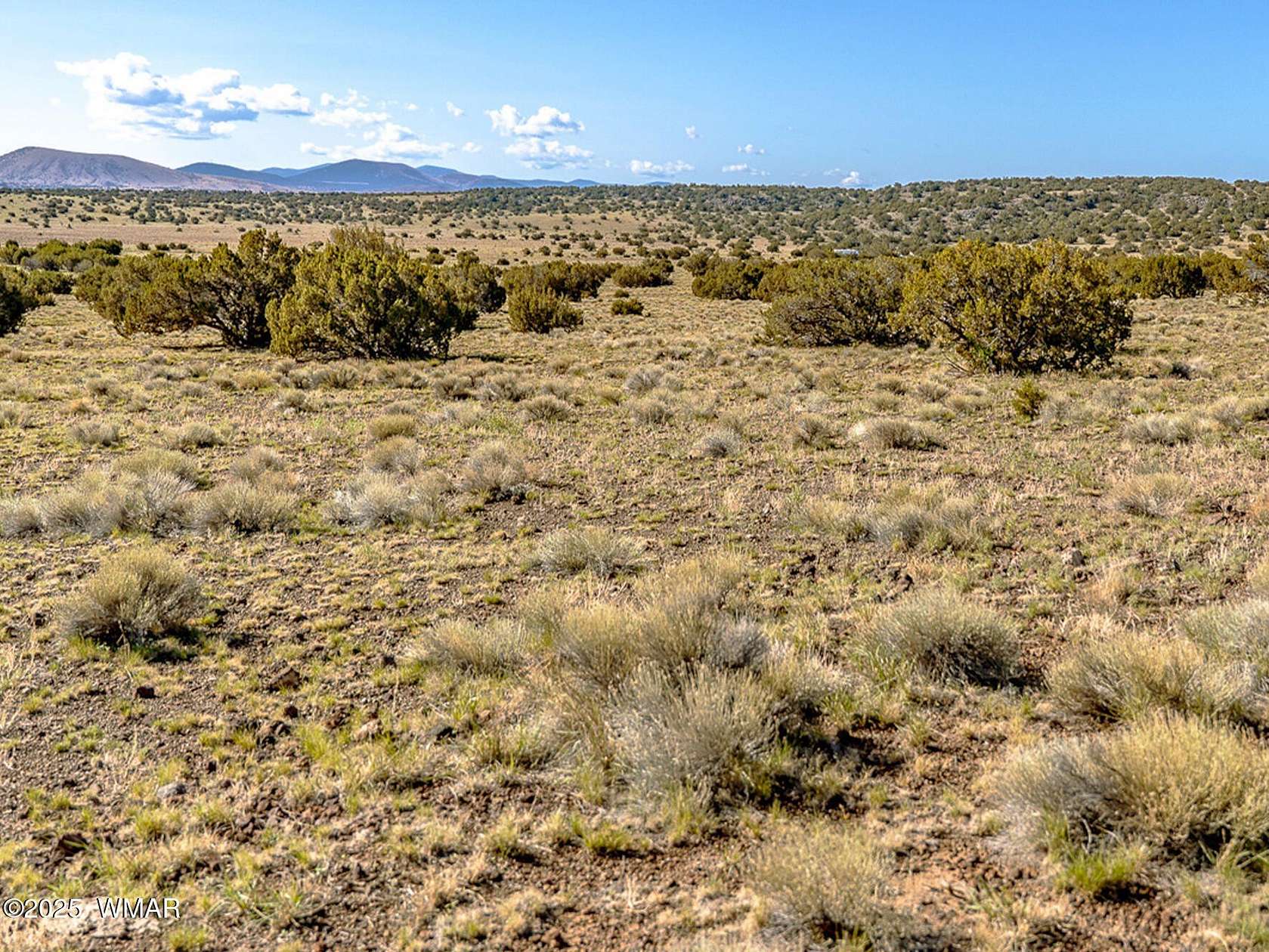 1.1 Acres of Residential Land for Sale in Concho, Arizona