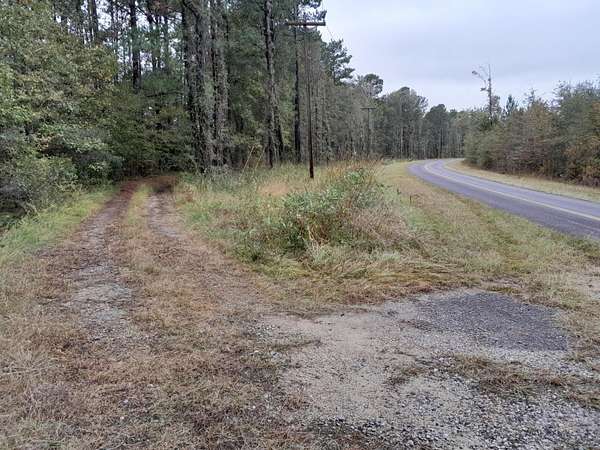12.8 Acres of Land for Sale in Eutawville, South Carolina