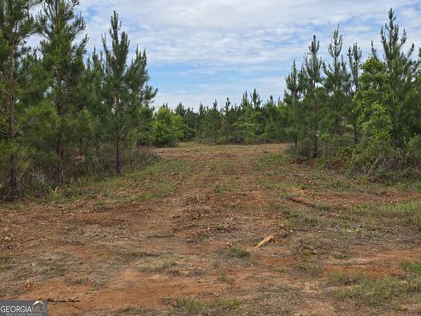 4 Acres of Residential Land for Sale in Ellaville, Georgia