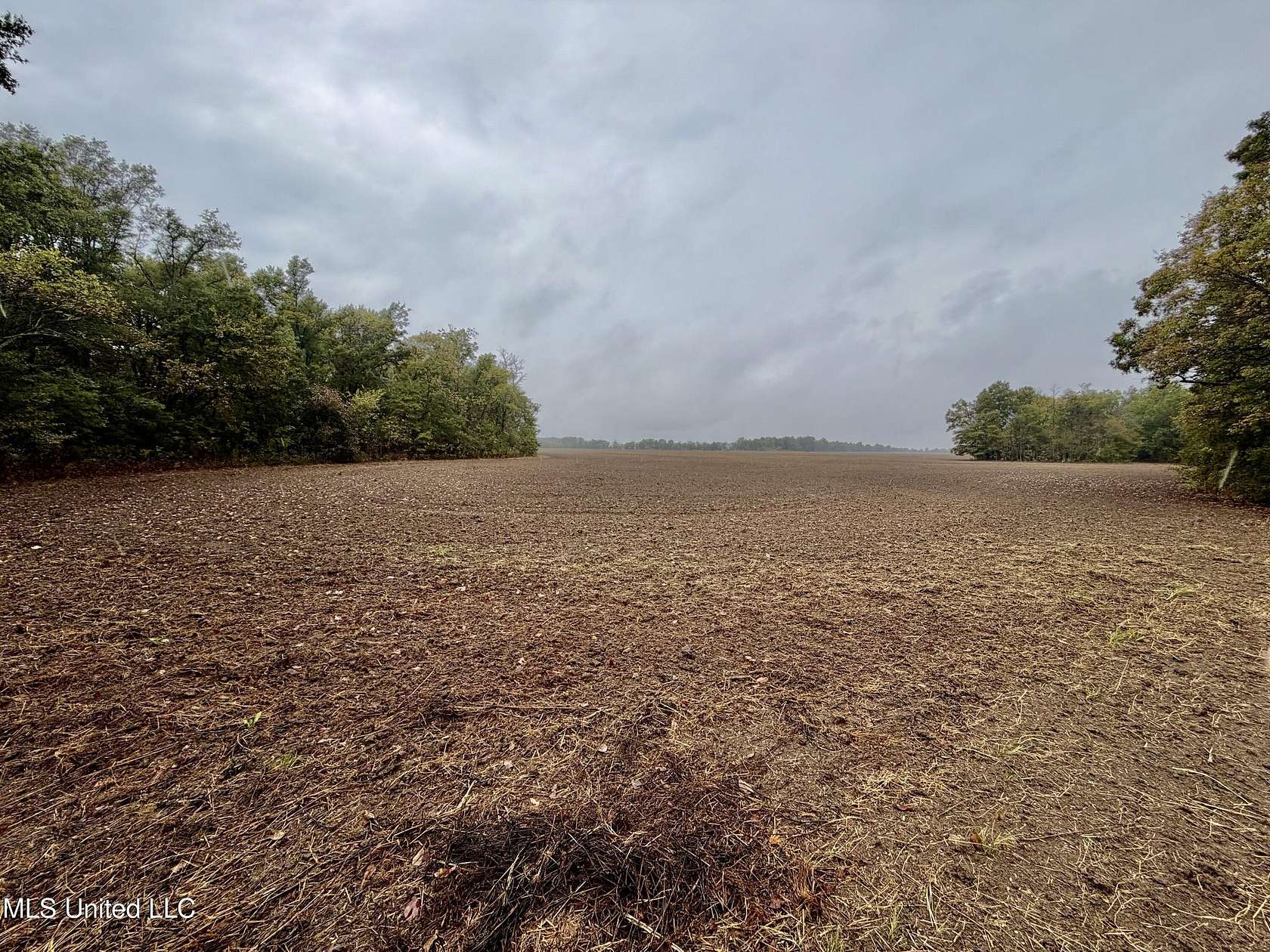 40 Acres of Recreational Land for Sale in Dundee, Mississippi