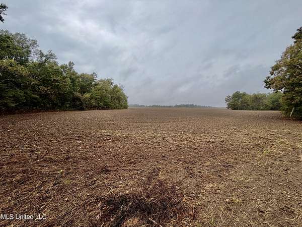 40 Acres of Recreational Land for Sale in Dundee, Mississippi