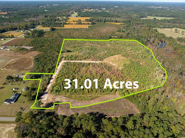 31 Acres of Land for Sale in Galivants Ferry, South Carolina