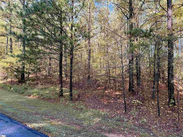 0.98 Acres of Residential Land for Sale in Cross Hill, South Carolina