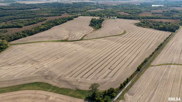 102 Acres of Land for Sale in La Fayette, Illinois