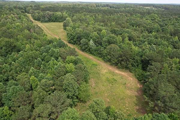 50 Acres of Recreational & Residential Land for Sale in Thaxton, Mississippi