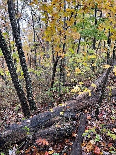 3.6 Acres of Residential Land for Sale in Monterey, Tennessee