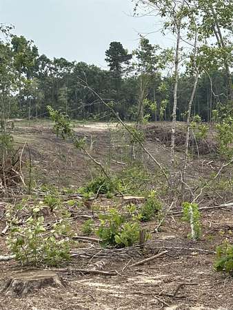 67 Acres of Recreational Land for Sale in Saratoga, Arkansas