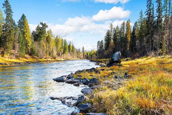 0.44 Acres of Land for Sale in Bigfork, Montana